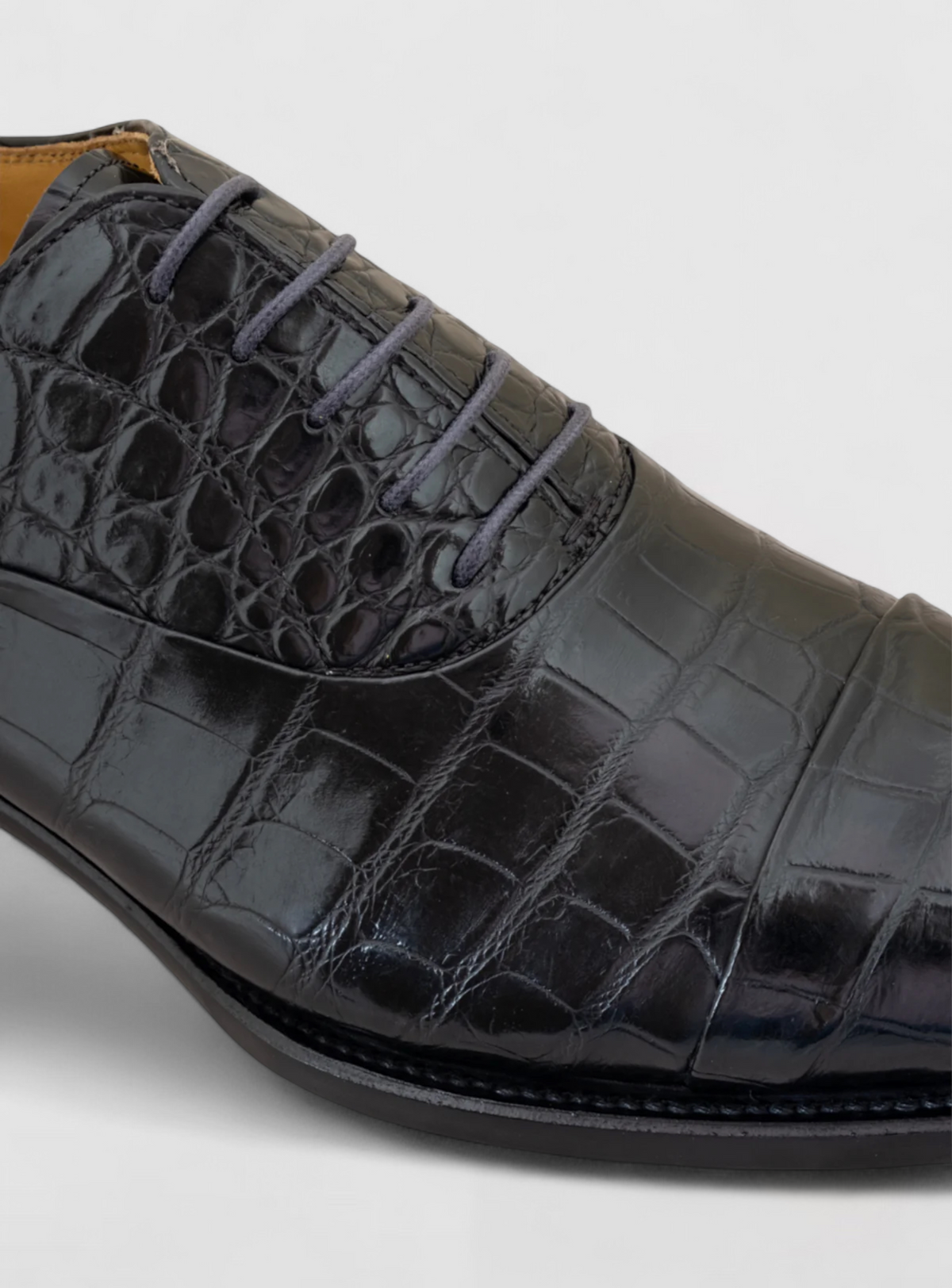 Byron Full Crocodile